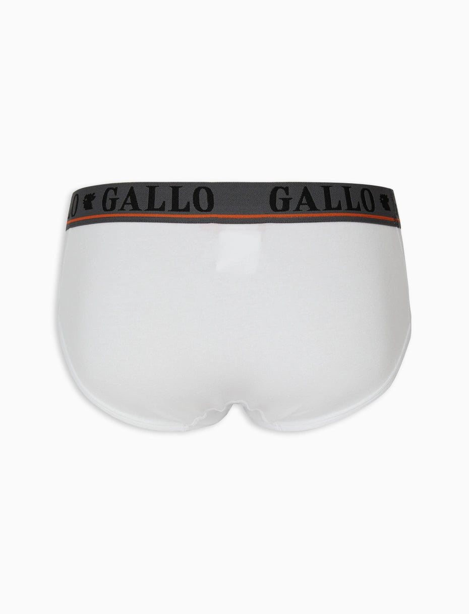 Gallo Slip basico intimo cotone bianco tinta unita