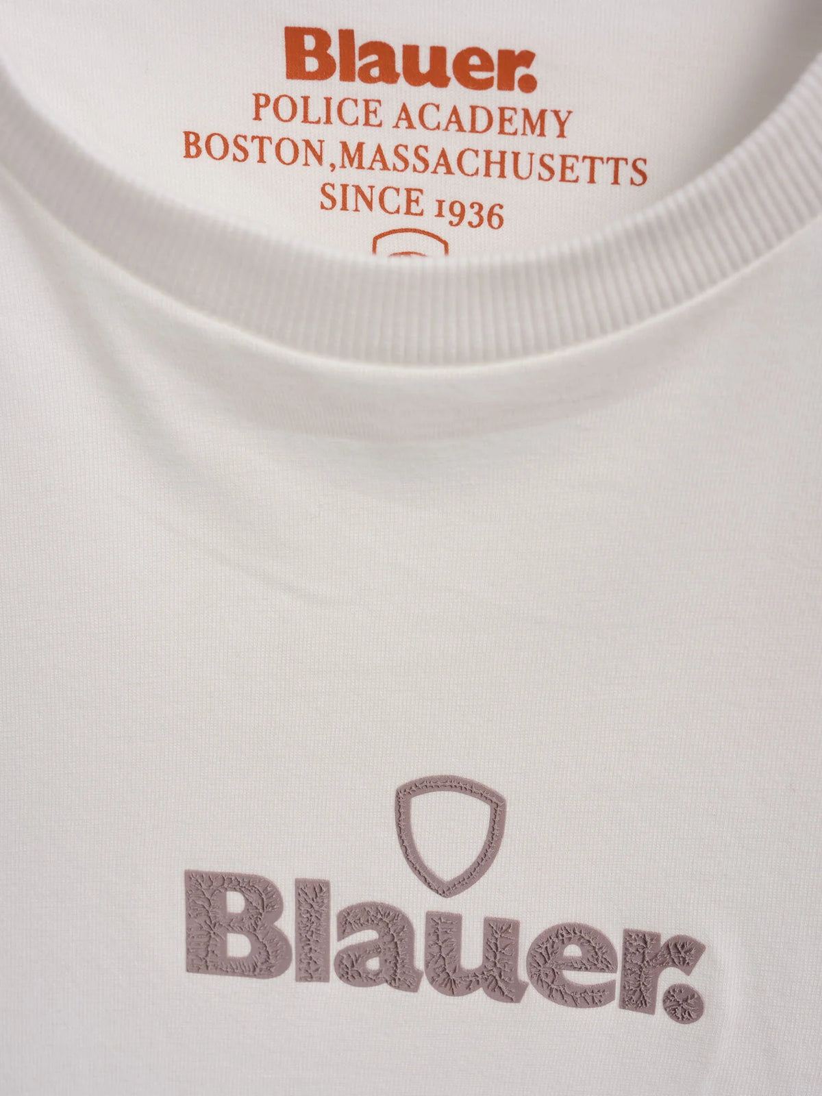 Blauer t-shirt Uomo modello Amesbury 26WBLUH02418-007714 102 - immagine 5