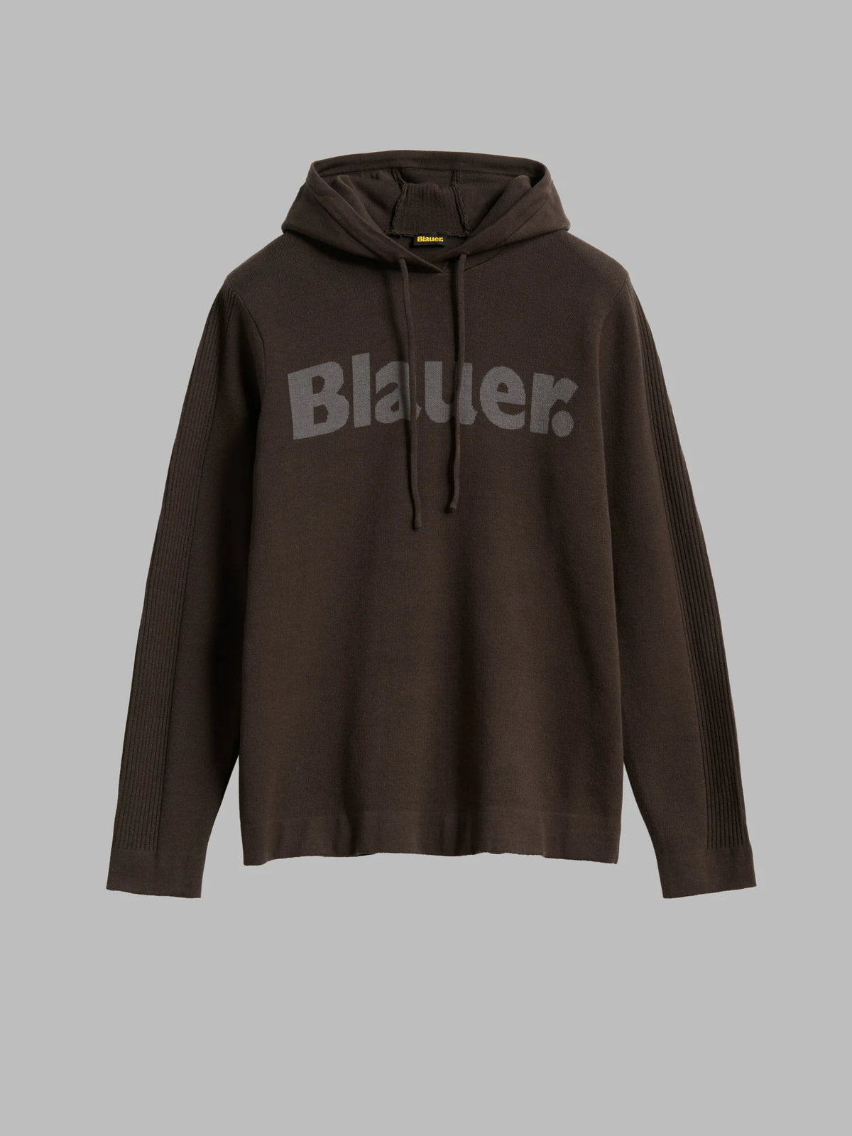 Blauer felpa con cappuccio Uomo modello Parker 26WBLUM09443-006645 920 - immagine 2