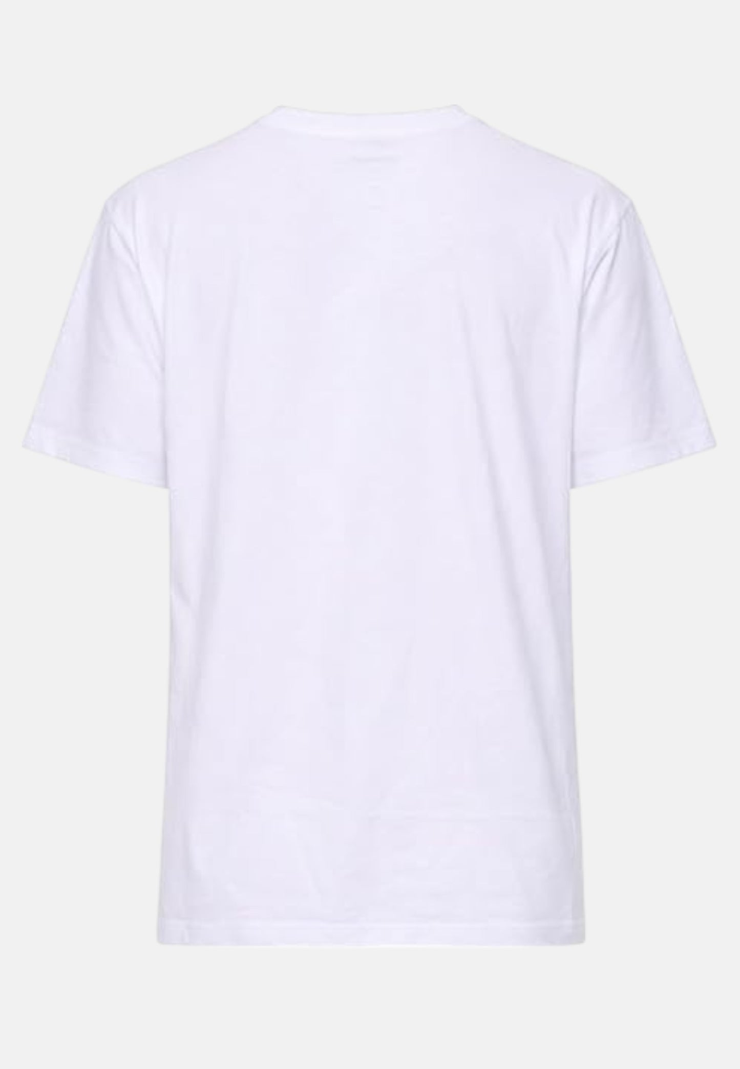 Blauer Men's T-shirt 26SBLUH02283 mod. Brush