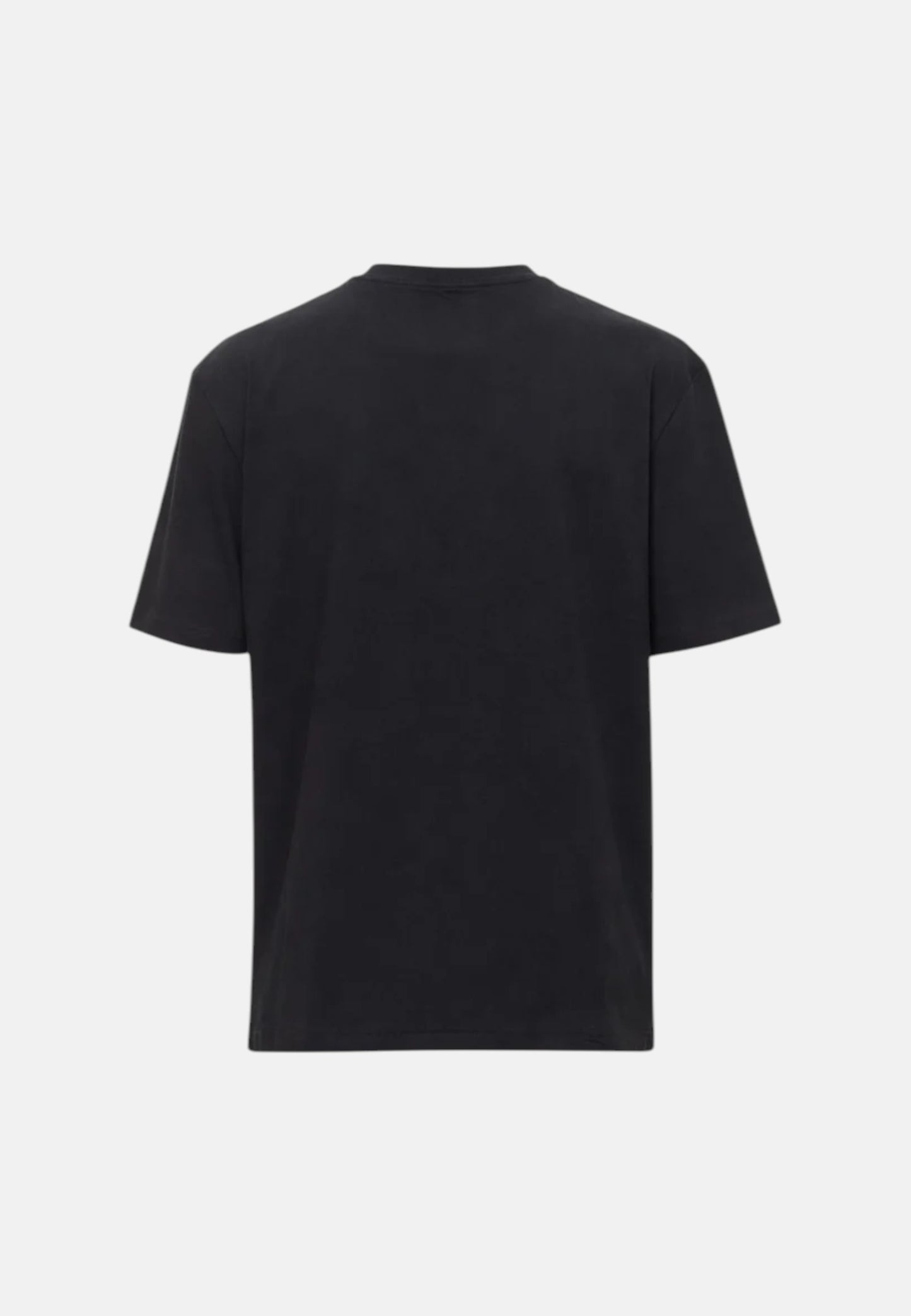 Blauer Men's T-shirt 26SBLUH02283 mod. Brush