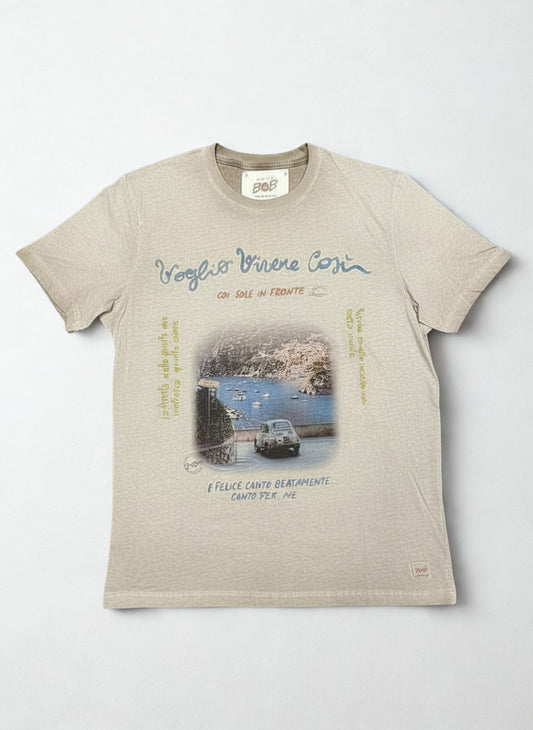 Bob T-shirt uomo in jersey stampata PRINT90 BROWN